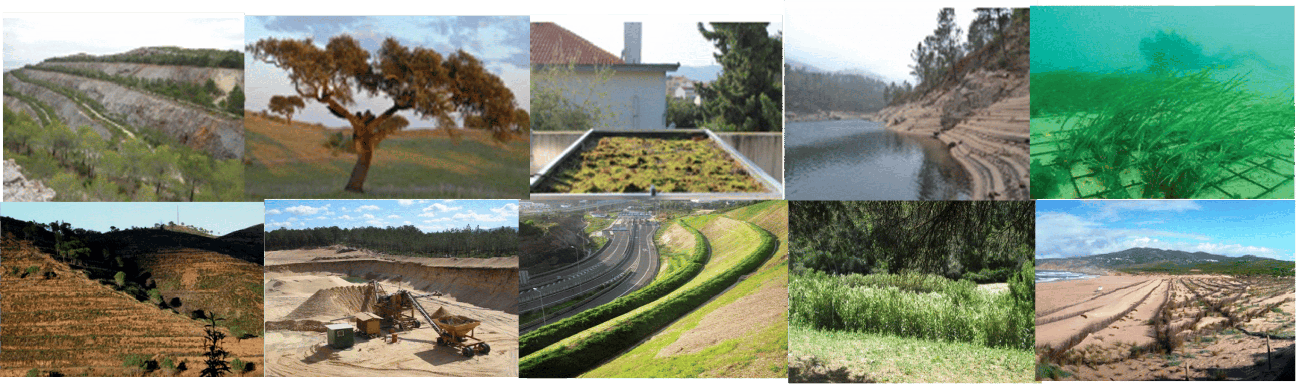 A recuperação de ecossistemas no contexto português